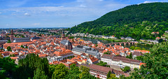 海德堡城堡Heidelberg Castle
