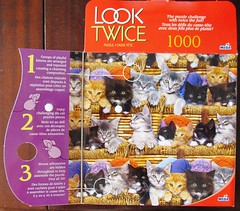Look Twice: Kittens