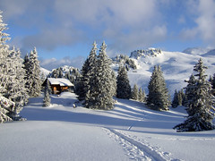 Obergestelenhütte Winter