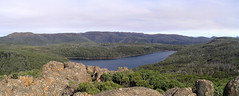 Tasmanien 2007, Mount Field