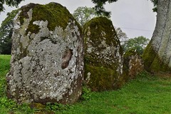 Grange Stone Circle Lough Gur