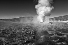 El Tatio geysers of the Atacama Desert