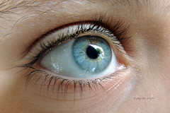 Olhos / Eyes