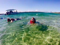 Gold Coast - March 2016 - Kayak to South Stadbroke Island