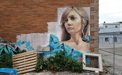 Nova Scotia Graffiti and Street Art