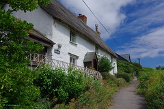 Cadgwith(9969)