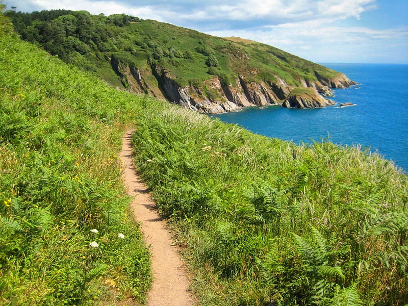 The South West Coast Path above Pudcombe Cove. Credit Philip Halling