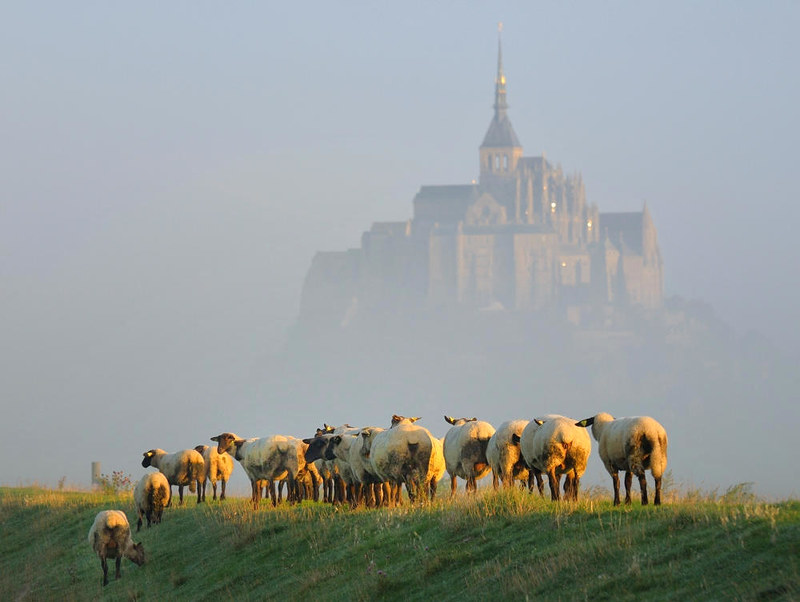 Mont Saint-Michel in September morning. Credit Vlasenko