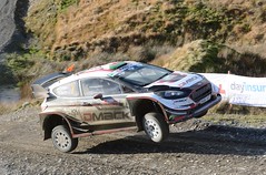 2017 Wales Rally GB - Sweet Lamb 2
