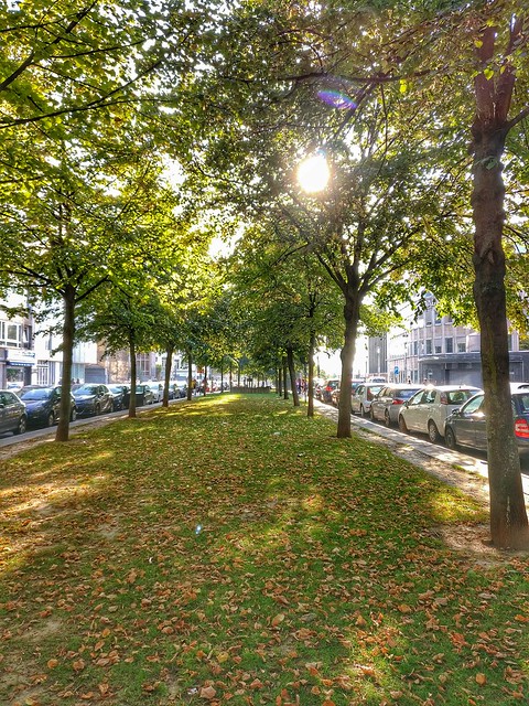 Autumn In Brussels