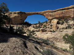 USA 2014, Natural Bridges NM