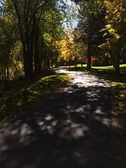 October 19, 2017 (Provo R/Bonneville S Trail)