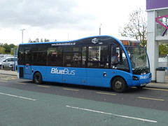 Blue Bus, Allanton