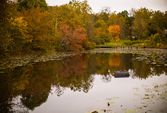 Walney Pond-Ellanor C. Lawrence Park