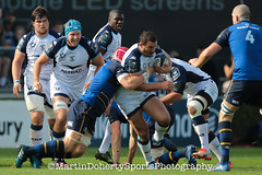 Leinster v Montpellier European Rugby Champions cup