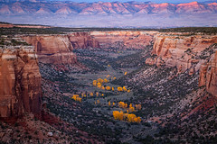 Ute Canyon Autumn (10-22-17)