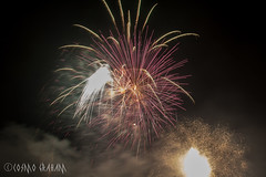 UoB Vale Fireworks, 2/11/17