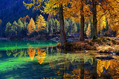 The Lake by the larches