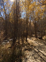 October 21, 2017 b (Big Springs Trail)