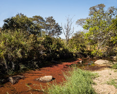 Nkanga river conservation.