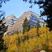 8340ex Maroon Bells--Aspen forest view