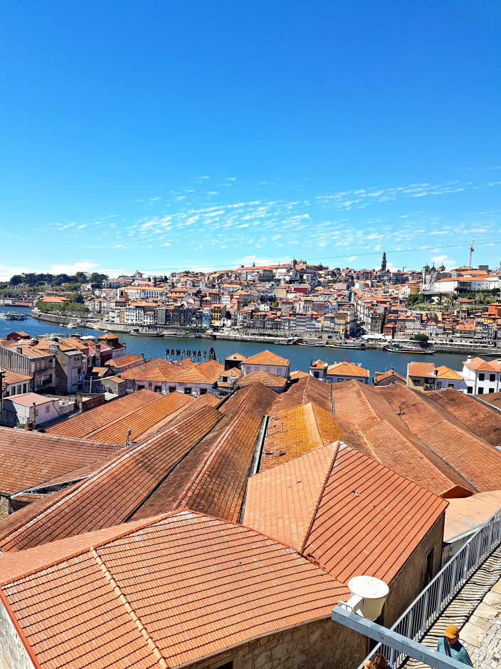 Old Beautiful Porto (016b)