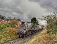 Union of South Africa on the ELR