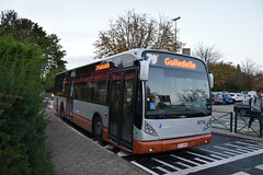 STIB-Bus-79