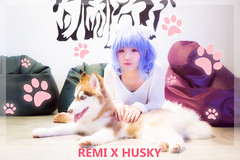 Remilia Scarlet: 子猫 + Huskies