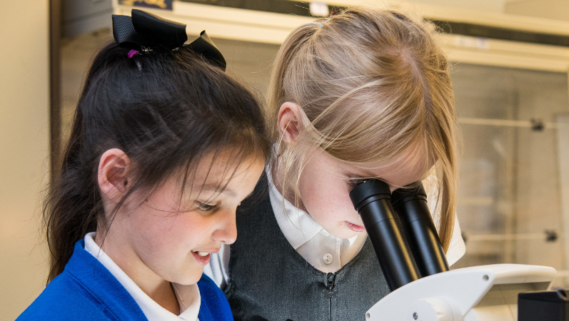 Schoolgirls use a microscope