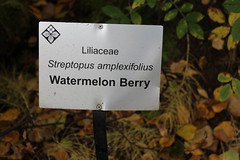 Anchorage Botanical Garden