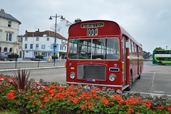 Isle of Wight Beer Buses 2017