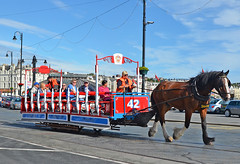 Douglas Bay (IOM) Horse Tramway