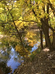 October 14, 2017 a (Provo River Trail)