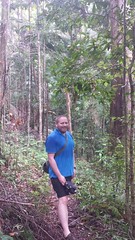 Federal (NSW) - March 2016 - Rainforest