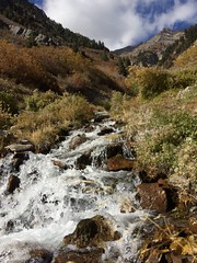 October 14, 2017 b (Lost Creek, Provo Canyon)