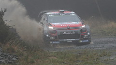 WRC Wales Rally GB (2017)