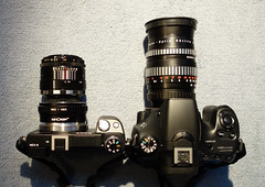 Meyer-Optik Orestor 135mm f/2.8 and Domiplan 50mm