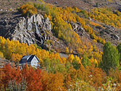 Sierras in Autumn