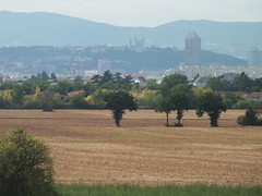 Chemin du Biézin : a countryside place close to Lyon
