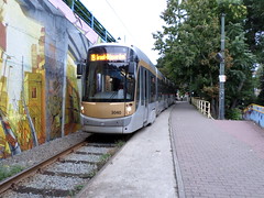 STIB-Tram-19