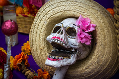 2017 Day of the Dead