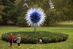 Chihuly 2017 - 005