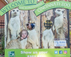 A Day @ The Cincinnati Zoo