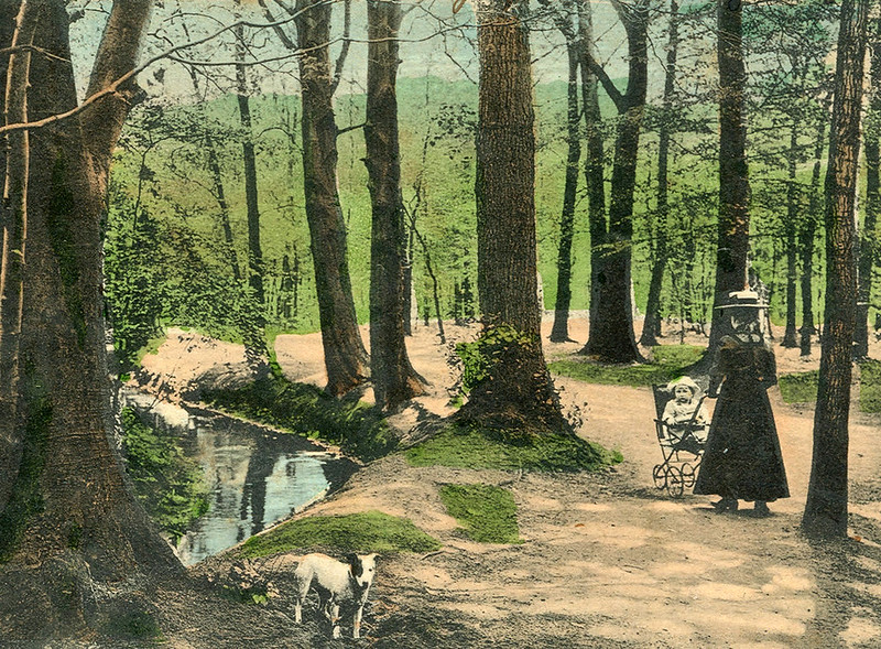 1900. Child and Nanny walk in the Eilenriede Forest Park, Hanover