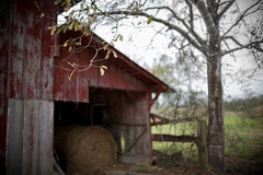 the BARN on Old Scenic Hwy