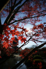 Autumn in Japan 2017
