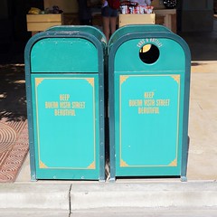 The Trash Cans of Disneyland