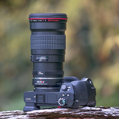 Canon EF200mm ƒ/2.8L II USM