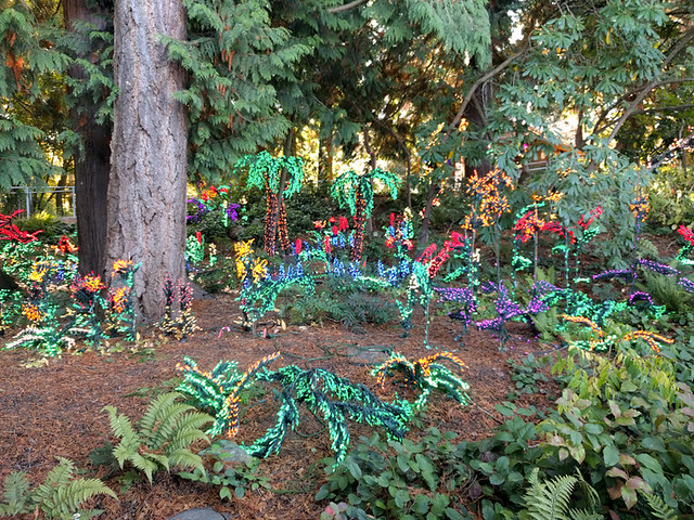 holiday lights going up @ Bellevue Botanical Garden